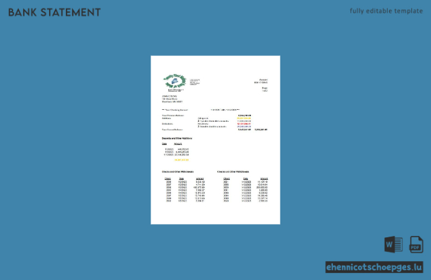 USA Twenty First National Bank of Maine Kontoauszug (Word-Beispiel, 1 Seite)